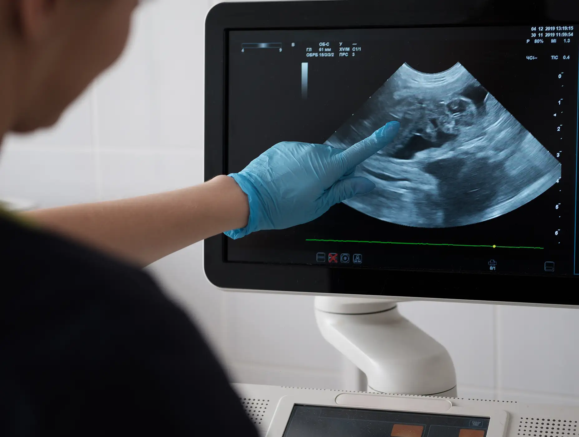 AdobeStock_323259843 copy Doctor uses ultrasound scan in veterinary clinic